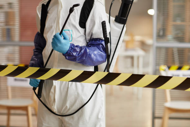 Professional Sewage Cleanup technician working in Acton, ME
